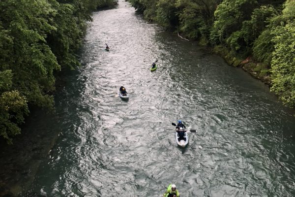 4841DCD1-7547-4122-8CFF-639445D3AF51_1_105_c