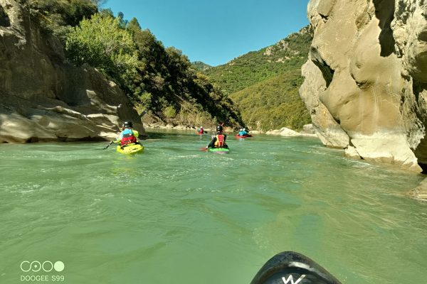 IMG_20240509_104104_637