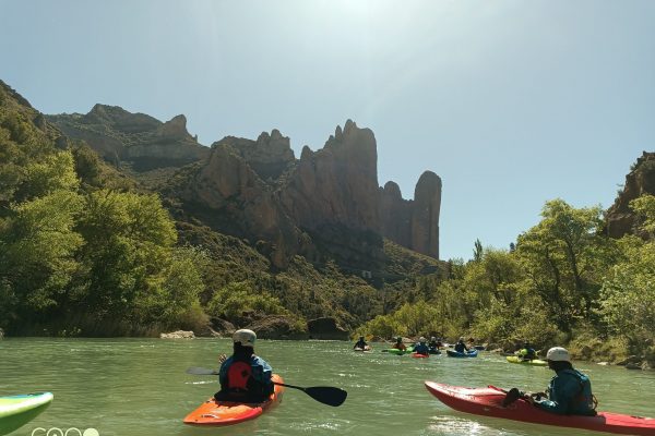 IMG_20240509_113642_499