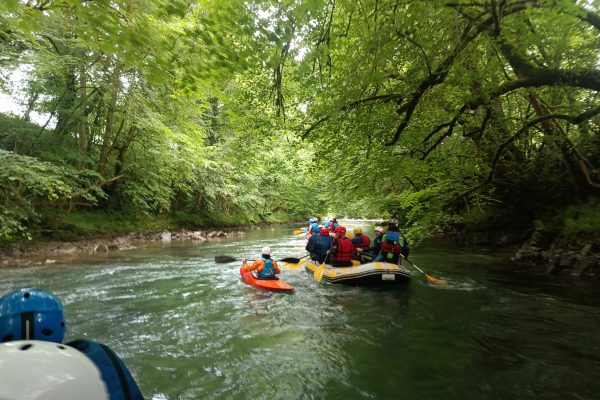 IMG_20240615_104735_964