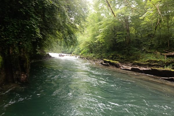 IMG_20240615_105946_884