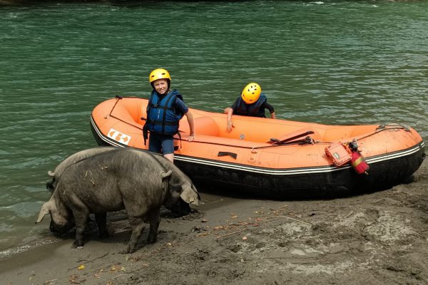 IMG_20240731_151141_478